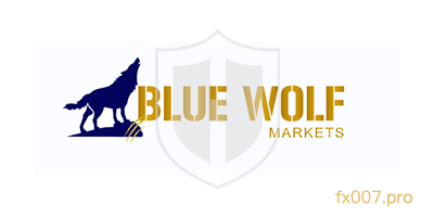 BlueWolf Markets